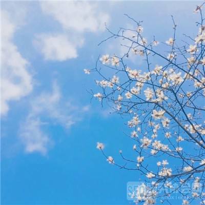 坏蛋别跑游戏(暂未上线)v1.1 安卓版