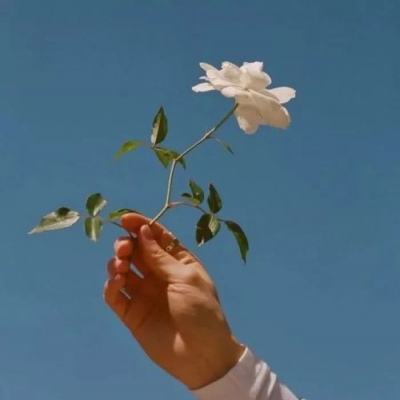 腾讯手游助手app下载